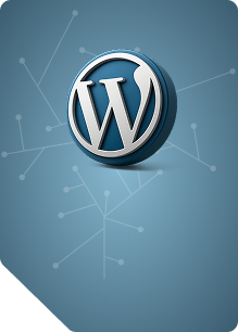 خرید اکانت Wordpress